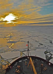 arctic sea ice