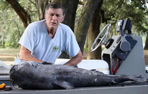 blue catfish record florida