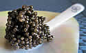 caviar
