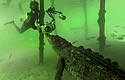 crocpics
