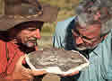 darwinfish