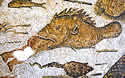fishmosaic