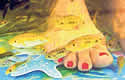 fishpedicure