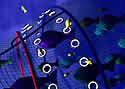 fishingnet