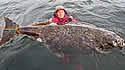 halibut
