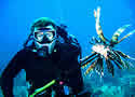 lionfishhunt