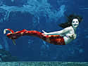 mermaid-19