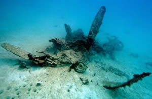 navy curtiss helldiver wreck palau