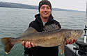 nyfisher