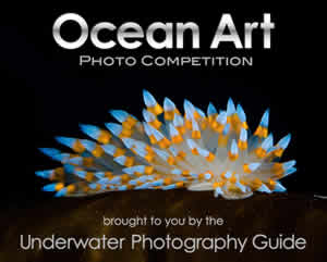 ocean art photo competition