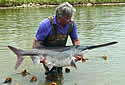 paddlefishmo