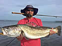 recordspeckledtrout