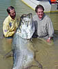 recordtarpon