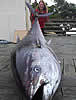 recordtuna