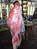 redfishrecord