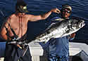 roosterfisihcatch