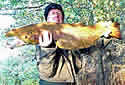 scotsalmon
