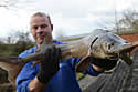 sturgeon