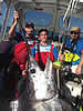 swordfishmassive