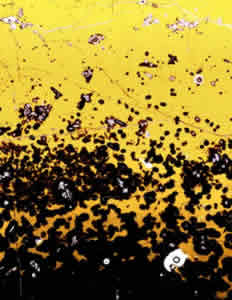 volcanic glass