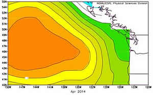 warm blob pacific weather