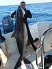 whalefishStory