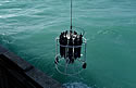 beringseaprobe