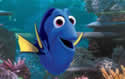 dory