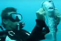 fishsavior