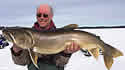 giantlaketrout