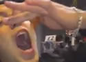 goldfishswallow