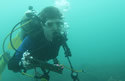 hotfishscientist