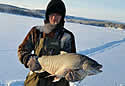 laplandfisher
