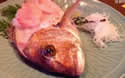 livedeadfish