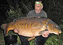 parrotcarp