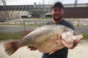 recordfish