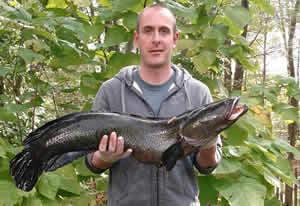 record snakehead fish maryland