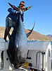 recordtuna