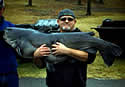 bigcat