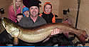 bigmuskie