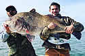 blackdrum