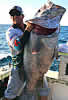 fishzilla