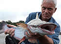 jeremywade