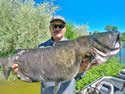 recordcatfish