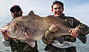 recordbass