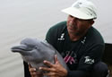 amazondolphin