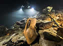 amphorafound