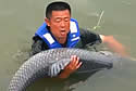 bigcarp