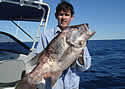 bigfishbends