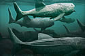 bigfishmouth